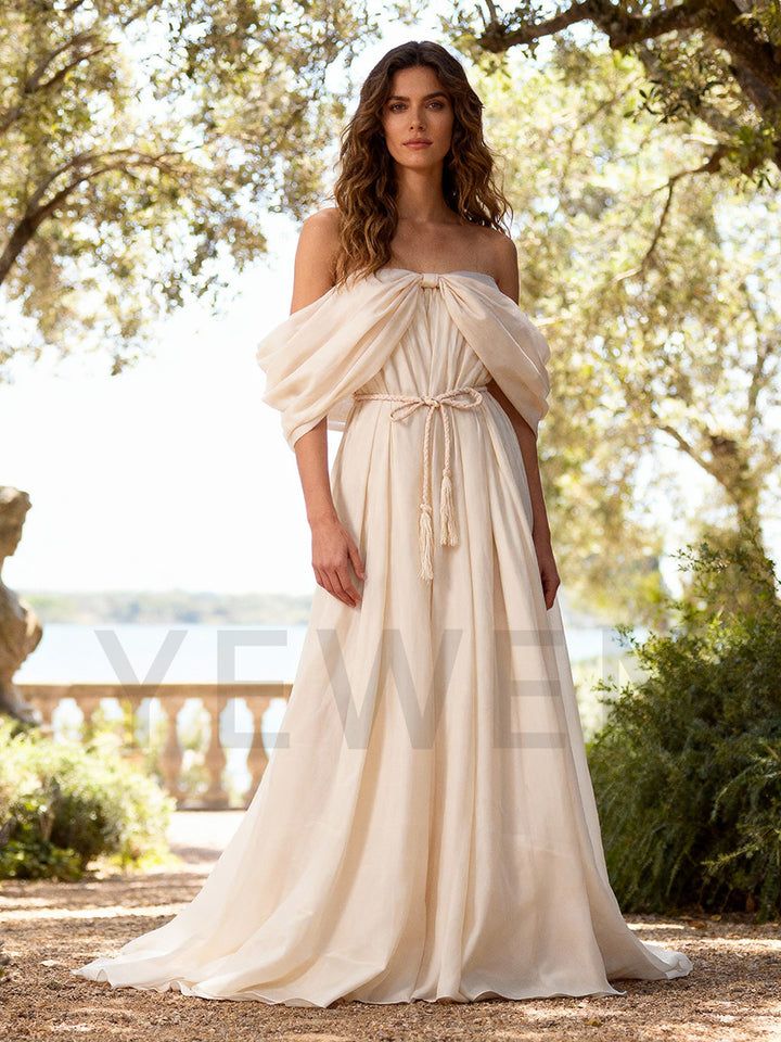 Off Shoulder Organza Photoshoot Dress Beach Maxi Dress YW251027