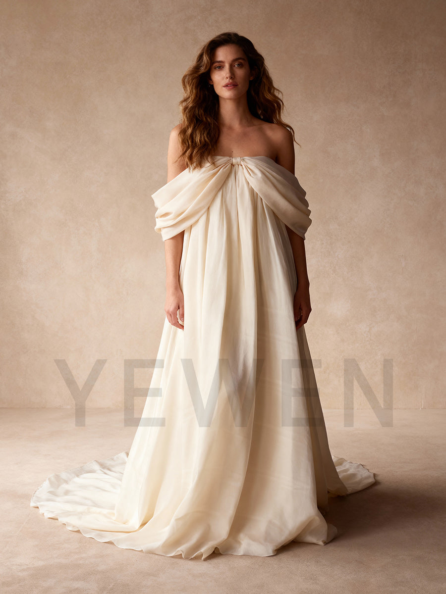 Off Shoulder Organza Photoshoot Dress Beach Maxi Dress YW251027