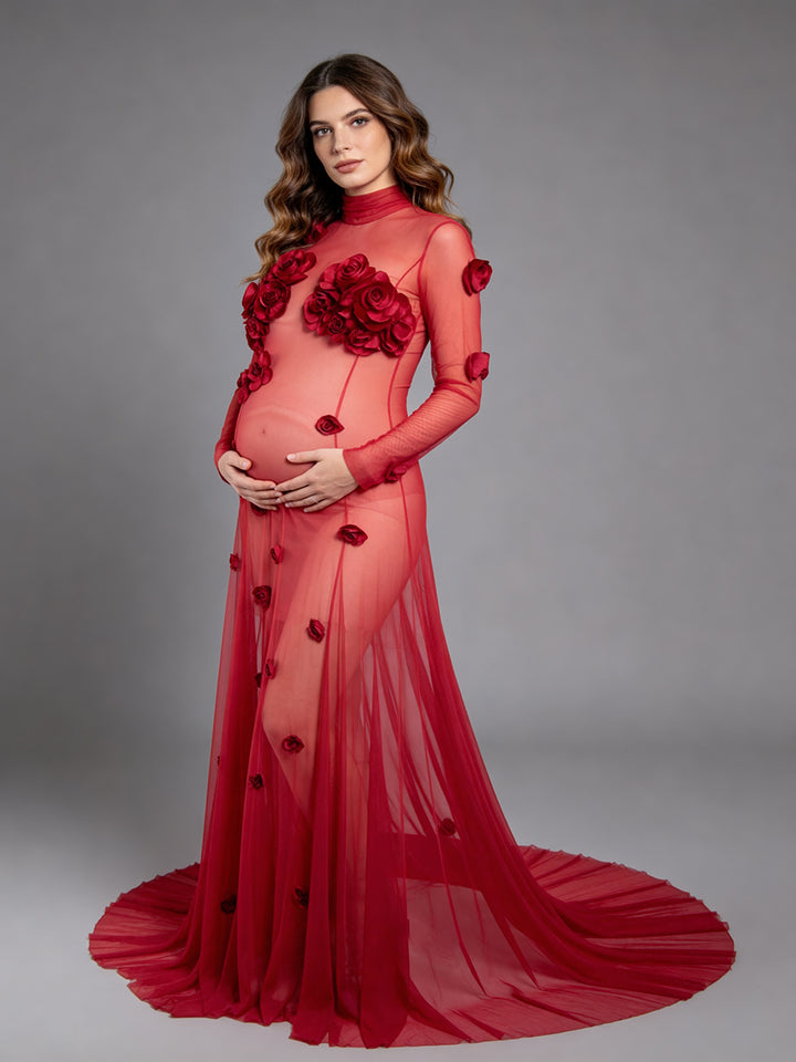 Sheer Stretch Tulle Maternity Gown 3D Rose Appliqués Maternity Dress for Photo Shoot  YW260237