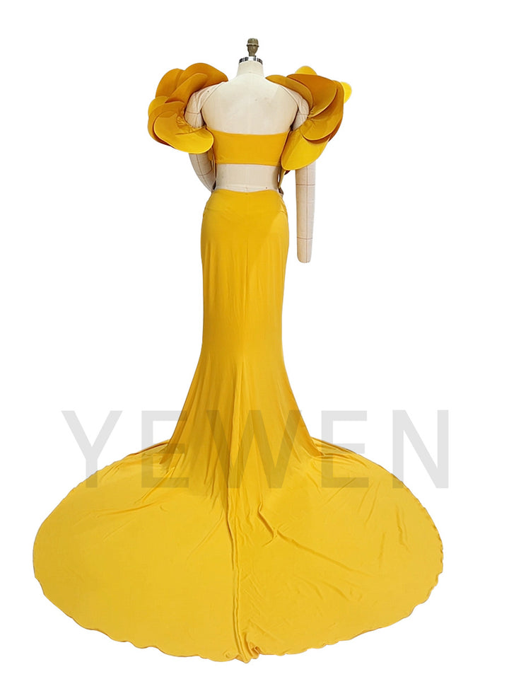 Stretchy Long Maternity Dress for Photoshoot with Handmade Flower Bicep Sleeves YW260234