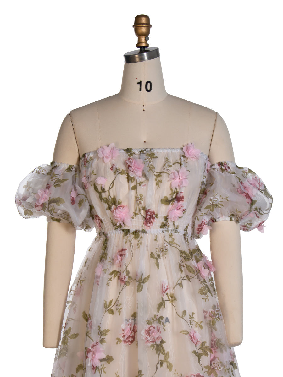 Pink Floral Rose Organza Dress Puff Short Sleeve Photography Dress Client Closet YW240046