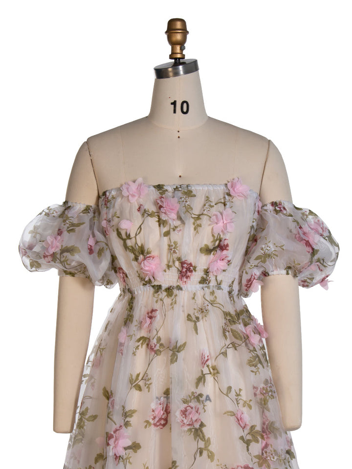 Pink Floral Rose Organza Dress Puff Short Sleeve Photography Dress Client Closet YW240046