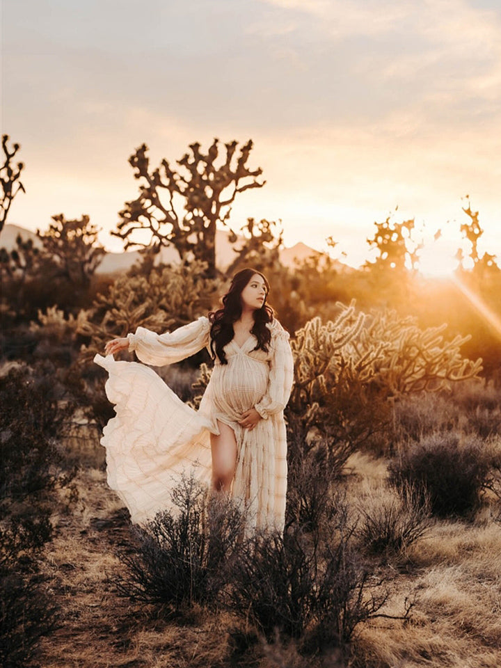 Pregnant woman wearing chiffon maternity photoshoot dress in studio baby shower photography setting